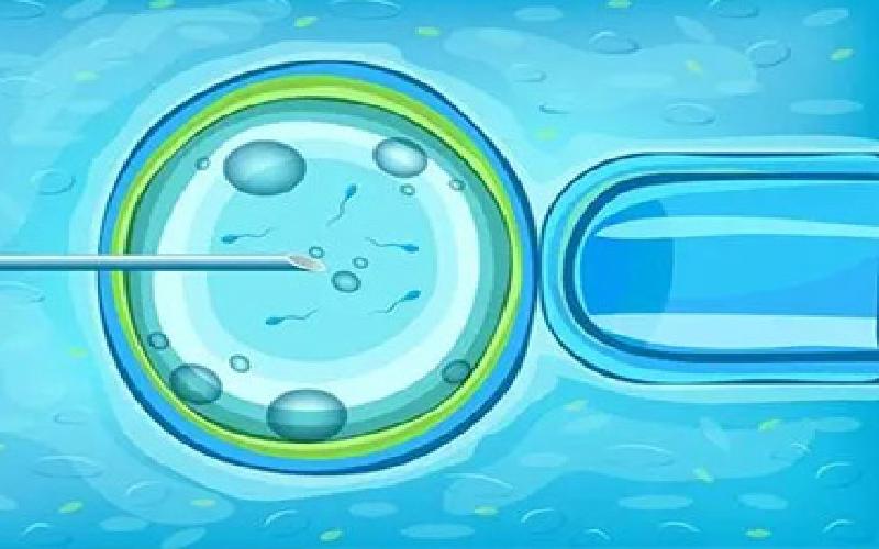 李信试管皮肤资料代生